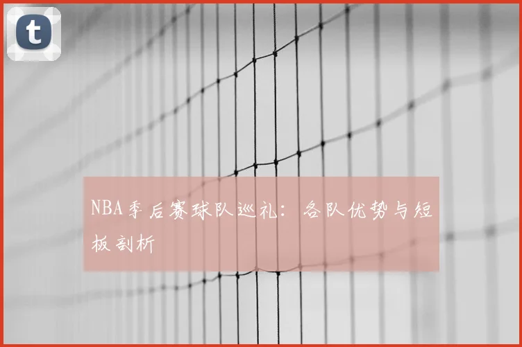 NBA季后赛球队巡礼:各队优势与短板剖析